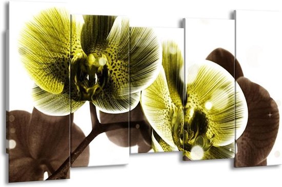 GroepArt - Canvas Schilderij - Orchidee - Geel, Grijs - 150x80cm 5Luik- Groot Collectie Schilderijen Op Canvas En Wanddecoraties