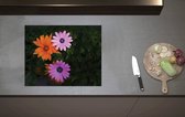 Inductieplaat Beschermer - Bovenaanzicht van Roze en Oranje Spaanse Margietjes Bloemen in de Struiken - 60x52 cm - 2 mm Dik - Inductie Beschermer van Vinyl