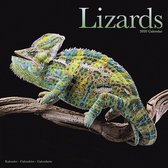 Avonside Publishing Ltd: Lizards Calendar 2020