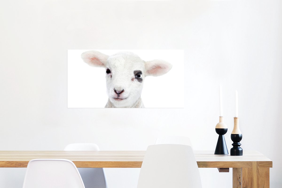 Poster Lam - Wit - Dieren - Natuur - 80x40 cm