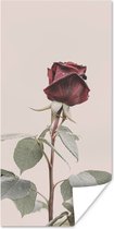 Poster Bloemen - Rood - Rozen - Groen - 75x150 cm
