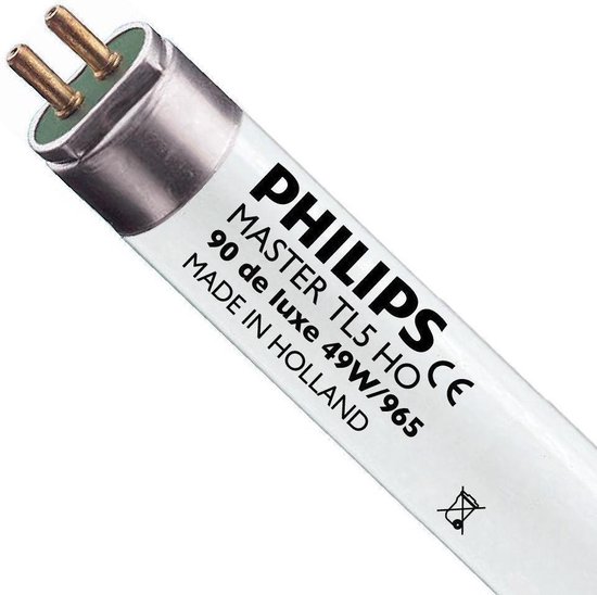 Philips MASTER TL5 High Output 90 De Luxe ampoule fluorescente 49,2 W G5 Lumière du jour froide