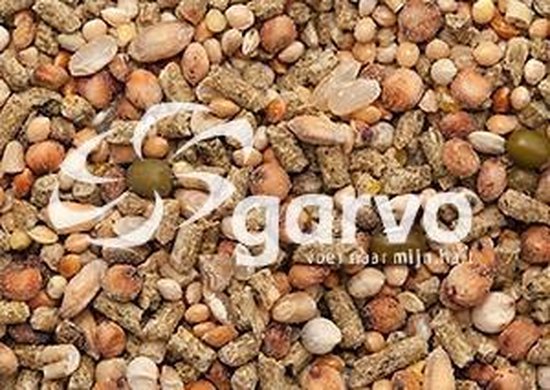vélos gravel