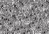 Fotobehang - Vlies Behang - Zebra Kunst - 208 x 146 cm
