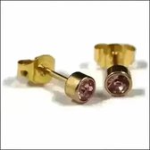 Aramat jewels ® - Ronde zweerknopjes zirkonia roze goudkleurig chirurgisch staal 6mm