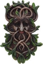 Nemesis Now Muurdecoratie Tawnya - Tree Spirit - Green Man - 28.8cm - Multicolours