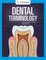 Dental Terminology