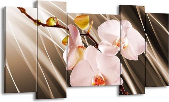 GroepArt - Schilderij - Orchidee - Bruin, Roze - 120x65 5Luik - Foto Op Canvas - GroepArt 6000+ Schilderijen 0p Canvas Art Collectie - Wanddecoratie