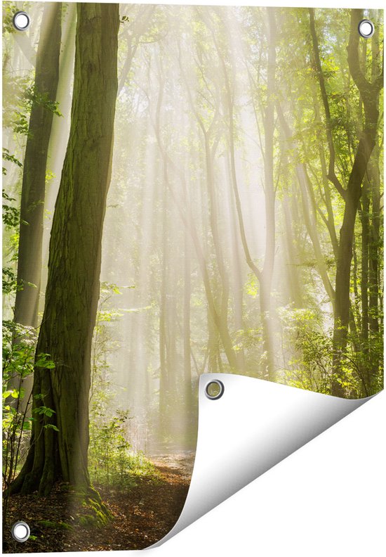 Feeby Panorama Foto op Canvas 1-delig 50x150 Schilderij op Canvasdoek Langwerpig Wanddecoratie Moderne Foto op Linnen Herten Dieren Natuur Bos Bomen Gras Bruin