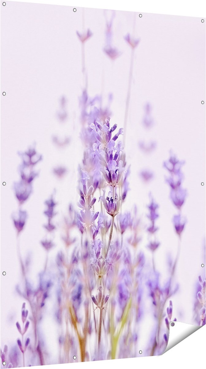 Gards Tuinposter Paarse Lavendel Bloemen - 120x180 cm - Tuindoek - Tuindecoratie - Wanddecoratie buiten - Tuinschilderij Multikleur