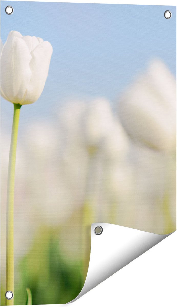 Gards Tuinposter Witte Tulpen - Bloemen - 40x60 cm - Tuindoek - Tuindecoratie - Wanddecoratie buiten - Tuinschilderij Multikleur