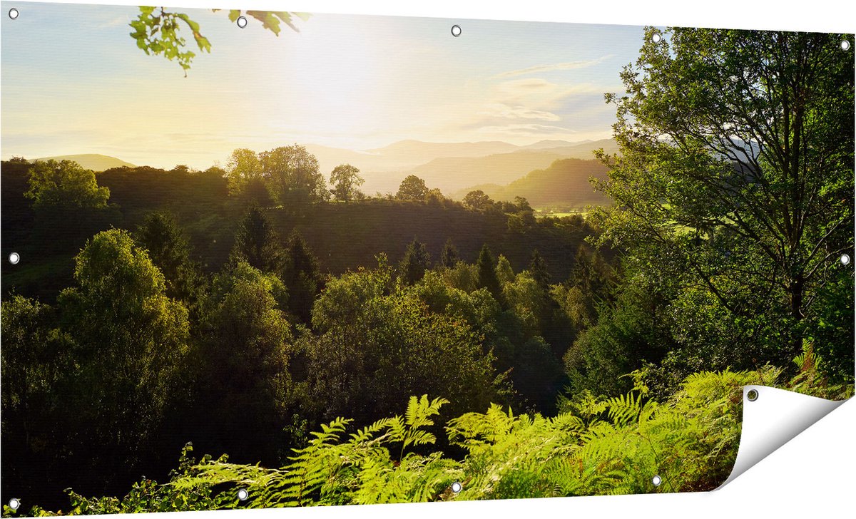 Gards Tuinposter Zonsondergang vanuit een Bos - 160x80 cm - Tuindoek - Tuindecoratie - Wanddecoratie buiten - Tuinschilderij Multikleur