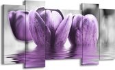 GroepArt - Schilderij - Tulpen - Paars, Grijs, Zwart - 120x65 5Luik - Foto Op Canvas - GroepArt 6000+ Schilderijen 0p Canvas Art Collectie - Wanddecoratie
