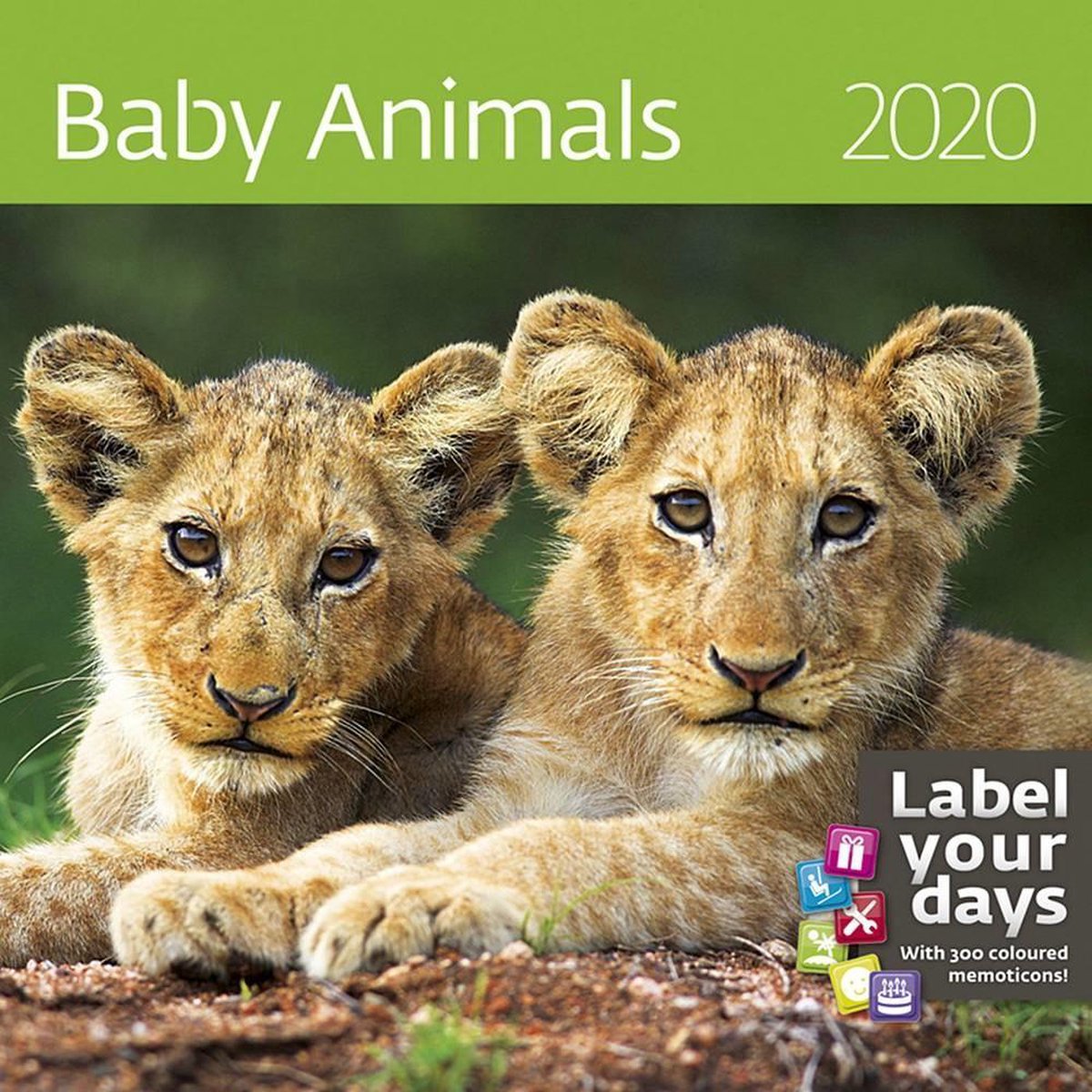 Babydieren - Baby Animals Kalender 2020 - Helma