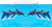 Spaarpot - 3 Dolfijnen Gespiegeld