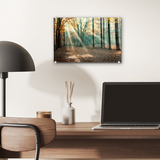 MuchoWow® Peinture sur Verre - Forêt d'Automne aux Nederland - 30x20 cm - Peintures sur Verre Acrylique - Photo sur Glas