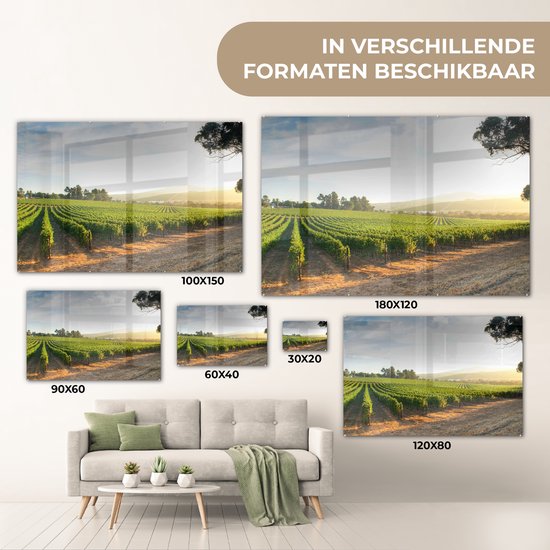 ® Glasschilderij 120x80 cm - Schilderij acrylglas - Wijngaard langs de weg - Foto op glas - Muurdecoratie woonkamer - Wanddecoratie slaapkamer - Schilderijen