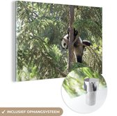 MuchoWow® Glasschilderij 120x80 cm - Schilderij acrylglas - Panda - Boom - Bladeren - Foto op glas - Schilderijen