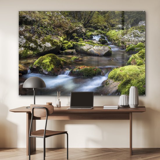 ® Glasschilderij 150x100 cm - Schilderij acrylglas - Bemoste rotsen in het Sloveense Nationaal park Triglav - Foto op glas - Muurdecoratie woonkamer - Wanddecoratie slaapkamer - Schilderijen
