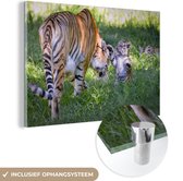MuchoWow® Glasschilderij 180x120 cm - Schilderij acrylglas - Dieren - Tijger - Welp - Foto op glas - Schilderijen