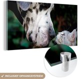 MuchoWow® Glasschilderij 80x40 cm - Schilderij acrylglas - Kat - Hond - Deense Dog - Foto op glas - Schilderijen