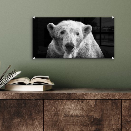 Peinture sur Verre - Ours Polaire - Animal - Zwart - Wit - 40x20 cm - Peintures sur Verre Peintures - Photo sur Glas