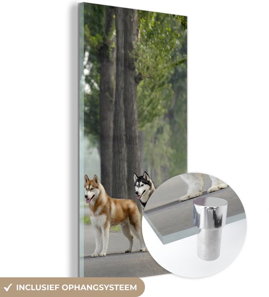 MuchoWow® Glasschilderij 80x160 cm - Schilderij acrylglas - Vier husky's tussen de bomen - Foto op glas - Schilderijen