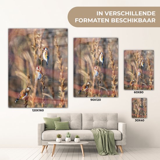 Peinture sur Verre - Vogels - Branches - Forêt - 90x120 cm - Peintures sur Verre Peintures - Photo sur Glas