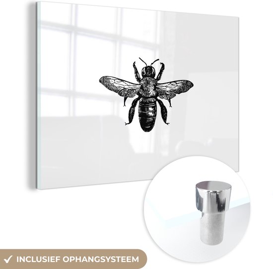 MuchoWow® Glasschilderij 60x40 cm - Schilderij acrylglas - Bij - Insect - Vintage - Zwart wit - Foto op glas - Schilderijen
