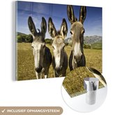 MuchoWow® Glasschilderij 120x80 cm - Schilderij acrylglas - Drie ezels in een weiland - Foto op glas - Schilderijen