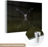 MuchoWow® Glasschilderij 90x60 cm - Schilderij acrylglas - Vleermuis boven water - Foto op glas - Schilderijen