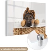 MuchoWow® Glasschilderij 150x100 cm - Schilderij acrylglas - Duitse herder pup in mand - Foto op glas - Schilderijen