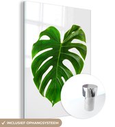 MuchoWow® Glasschilderij 30x40 cm - Schilderij acrylglas - Groot botanisch blad op een blanke achtergrond - Foto op glas - Schilderijen