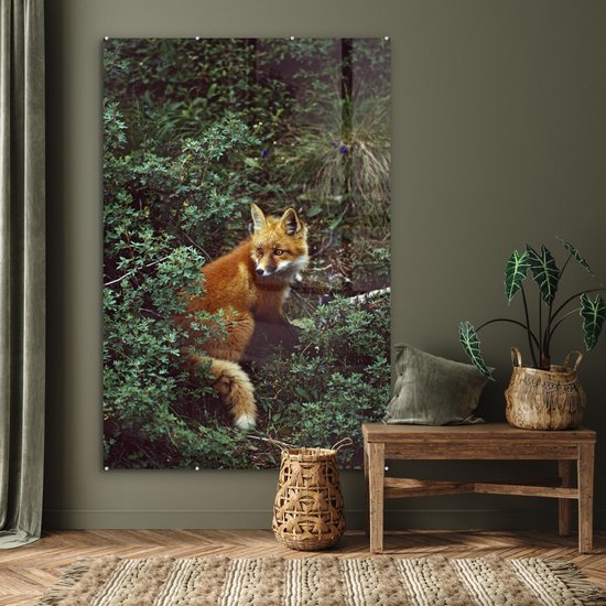 MuchoWow® Peinture sur Verre - Renard - Nature - Forêt - 100x150 cm - Peintures sur Verre Acrylique - Photo sur Glas