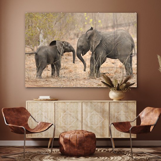 MuchoWow® Peinture sur verre - Deux jeunes éléphants - 150x100 cm - Peintures sur verre acrylique - Photo sur Glas