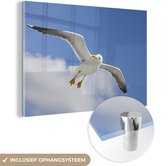 MuchoWow® Glasschilderij 150x100 cm - Schilderij acrylglas - Vogel - Zeemeeuw - Lucht - Foto op glas - Schilderijen