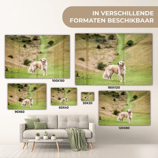 MuchoWow® Glasschilderij 180x120 cm - Schilderij acrylglas - Prachtige afbeelding van een Golden Retriever - Foto op glas - Schilderijen