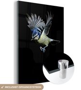 MuchoWow® Glasschilderij 60x80 cm - Schilderij acrylglas - Vogels - Veren - Zwart - Foto op glas - Schilderijen