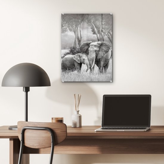 MuchoWow® Tableau en verre 30x40 cm - Peinture sur verre acrylique - Éléphant - Animaux - Nature - Noir et blanc - Photo sur verre - Tableaux