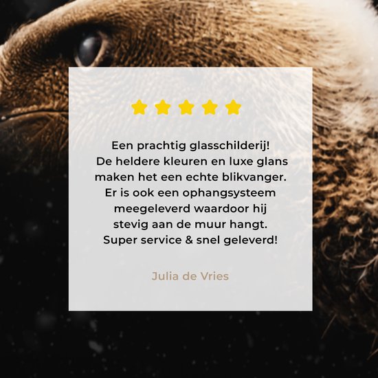 MuchoWow® Peinture sur verre 20x20 cm - Peinture acrylique sur verre - Vautour - Wit - Zwart - Photo sur verre - Peintures