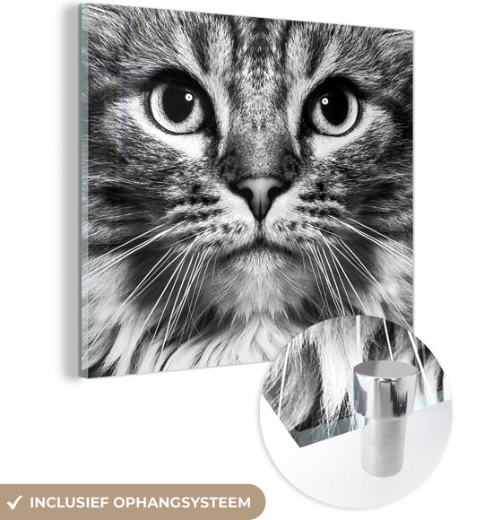 MuchoWow® Glasschilderij 90x90 cm - Schilderij acrylglas - Close-up van kat met grote ogen - zwart wit - Foto op glas - Schilderijen