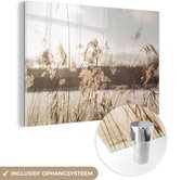 MuchoWow® Glasschilderij 60x40 cm - Schilderij acrylglas - Water - Pampasgras - Planten - Foto op glas - Schilderijen