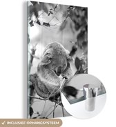 MuchoWow® Glasschilderij 20x30 cm - Schilderij acrylglas - Koala - Takken - Slapen - Kinderen - Jongens - Meiden - Foto op glas - Schilderijen
