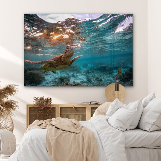 Peinture sur Verre - Mer - Tortue - Couleurs - 180x120 cm - Peintures sur Verre Peintures - Photo sur Glas