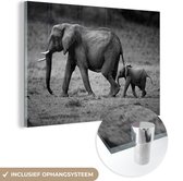 MuchoWow® Glasschilderij 120x80 cm - Schilderij acrylglas - Kind rent achter moeder olifant aan - zwart wit - Foto op glas - Schilderijen