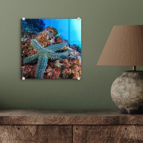 MuchoWow® Peinture sur verre 20x20 cm - Peinture sur verre acrylique - Étoile de mer - Corail - Animaux - Photo sur verre - Peintures