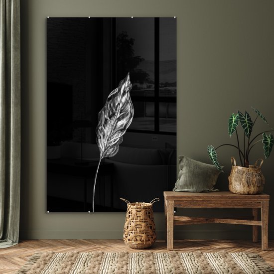 MuchoWow® Peinture sur Verre - Feuille fine sur fond noir - noir et blanc - 100x150 cm - Peintures sur Verre Acrylique - Photo sur Glas