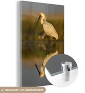 MuchoWow® Glasschilderij 20x30 cm - Schilderij acrylglas - Een reflectie van een lepelaar in het kalme water - Foto op glas - Schilderijen
