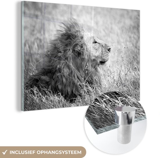 Peinture sur verre - Lion dans un champ de fleurs - noir et blanc - 90x60 cm - Peintures sur Verre Peintures - Photo sur Glas
