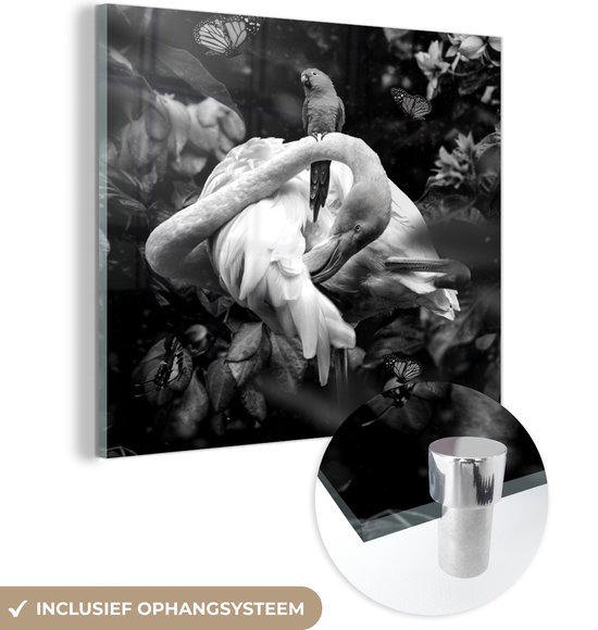 MuchoWow® Glasschilderij 50x50 cm - Schilderij acrylglas - Flamingo - Vlinders - Jungle - Zwart - Wit - Foto op glas - Schilderijen